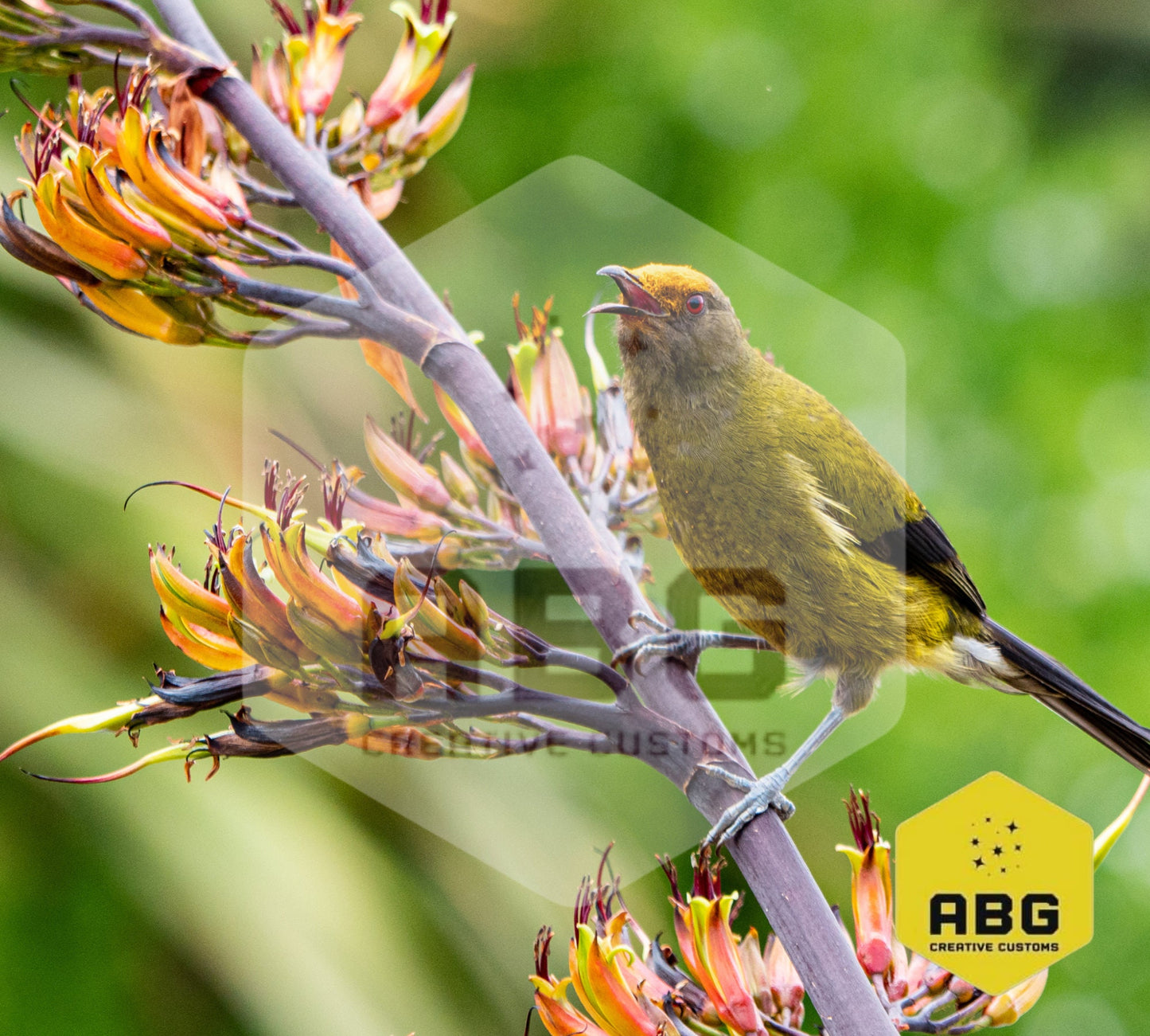 Bird - 20oz Tumbler Wrap - Digital file only - sublimation